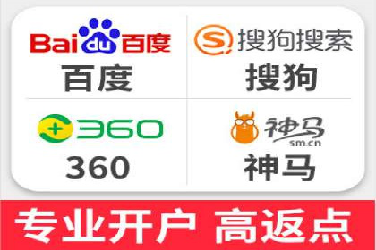 某电商平台的SEM策略与效果展示